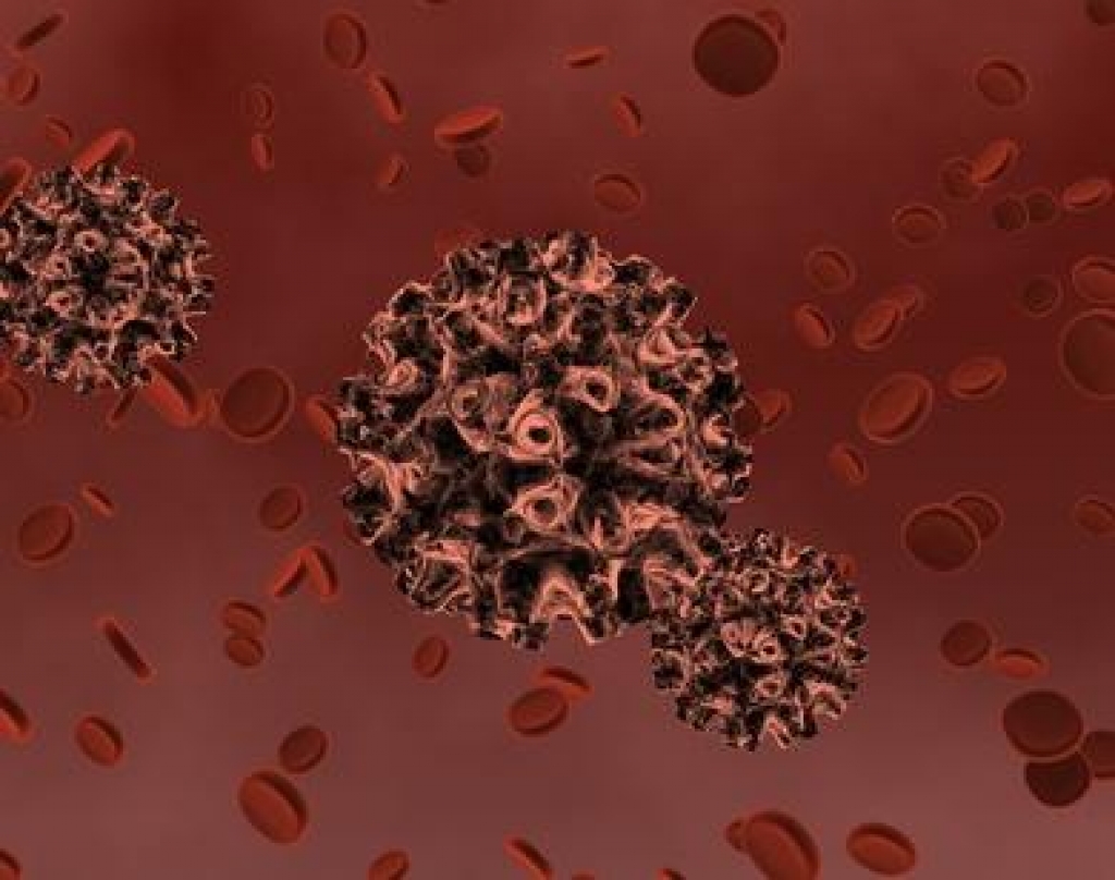 остроконечные кондиломы впч. паповавирус микробиология вирион. впч гепатит. герпес, папилломавирус. впч гепатит.